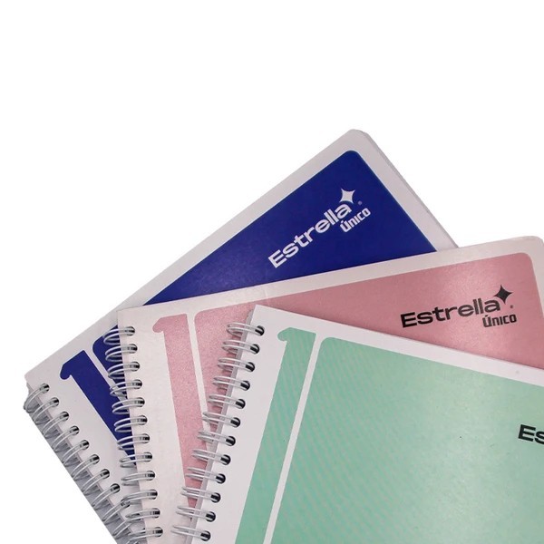 CUADERNO PROF.UNICO ESTRELLA 715 RAYA 100H. PZA